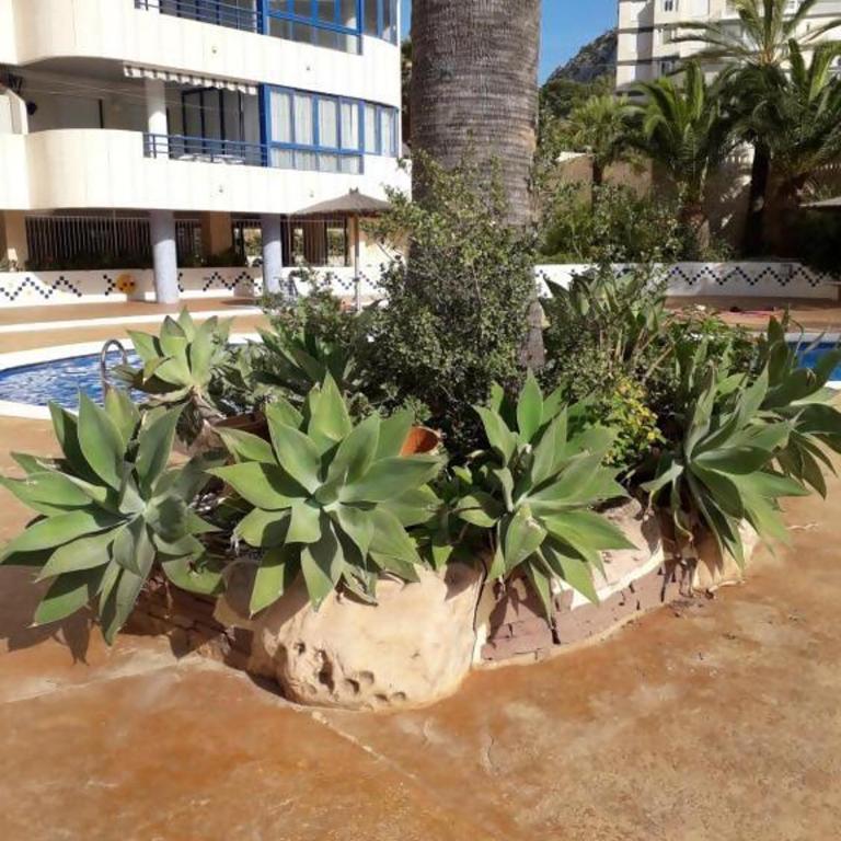 Appartement équipé Calpe Espagne 4 couchages, terrasse, piscines, climatisation, garage, WIFI gratuit - Apartamento con terraza - 20