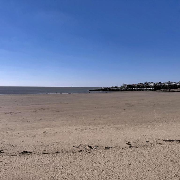Teeny Ponta Plage - Monolocale - 15