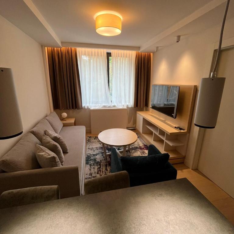 Zepterme Promenade Spa Apartment - Apartman sa 1 Spavaćom Sobom - 14