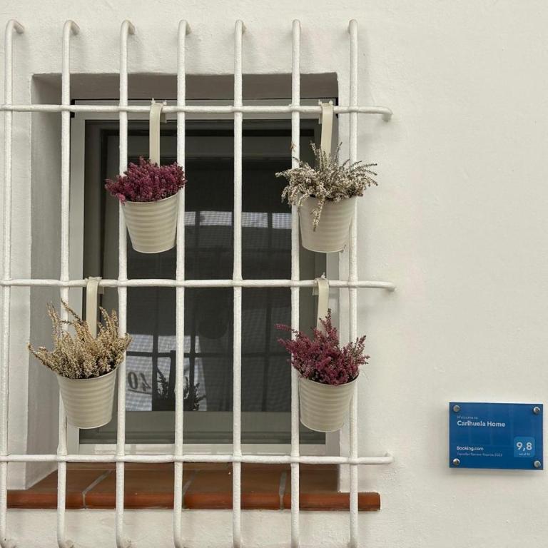 Carihuela Home - Apartamento de 1 dormitorio - 36