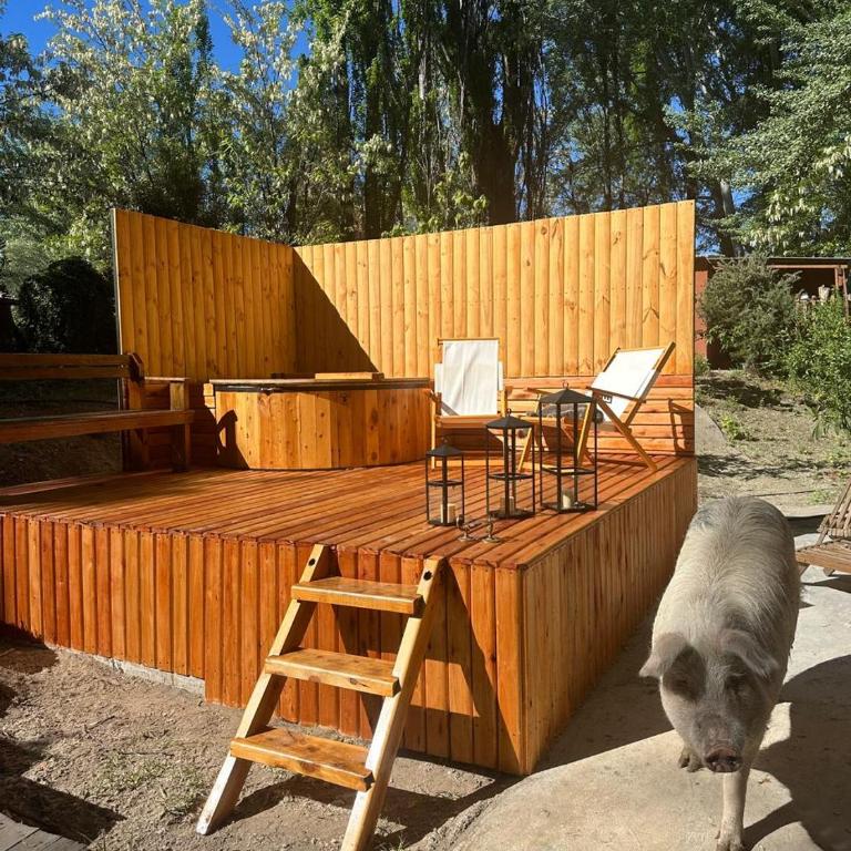 Hermosa chacra Gaiman con costa al Rio - Casa - 31