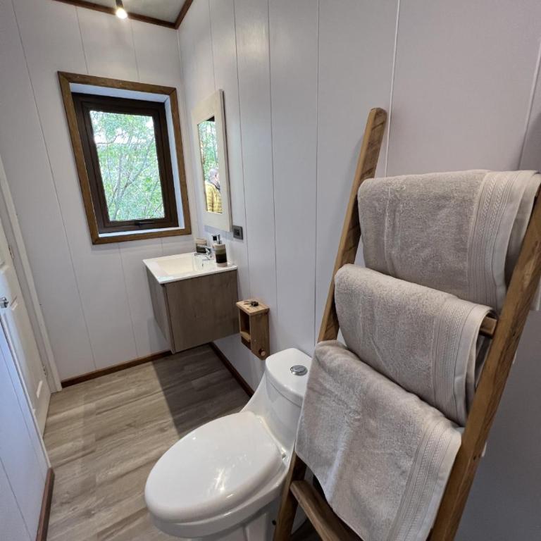 Aremko Aguas Calientes & SPA - Double Room with Private Bathroom - 5