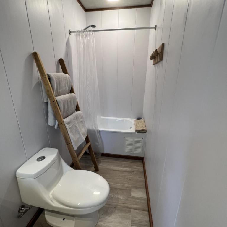 Aremko Aguas Calientes & SPA - Double Room with Private Bathroom - 6