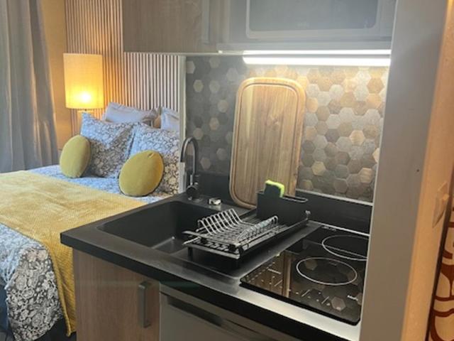 Petit Cocon des Rives Proche Stanislas-terrasse & parking gratuit - Apartment mit 1 Schlafzimmer - 34