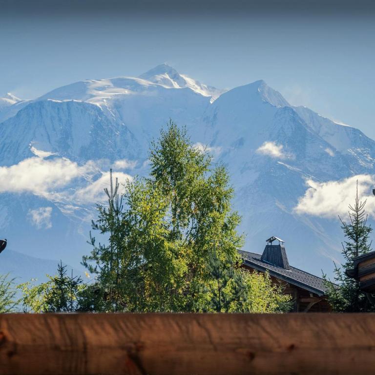 Chalet Ellambra - OVO Network - Chalet - 30