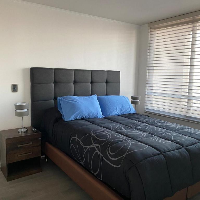 Mejor Apartmento Providencia - One-Bedroom Apartment - 3