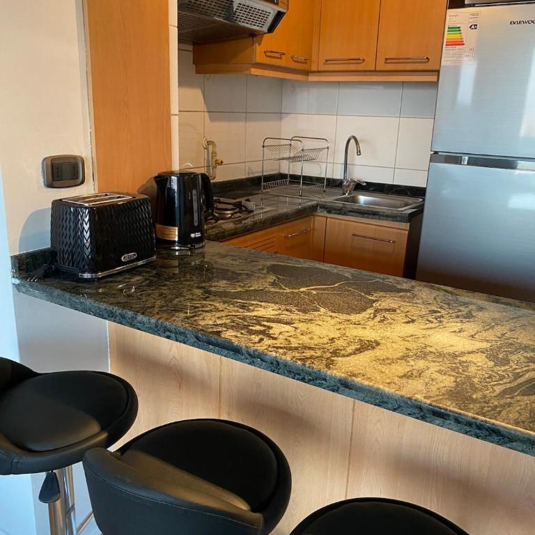 Mejor Apartmento Providencia - One-Bedroom Apartment - 4