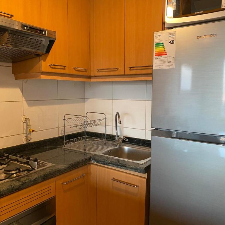 Mejor Apartmento Providencia - One-Bedroom Apartment - 5
