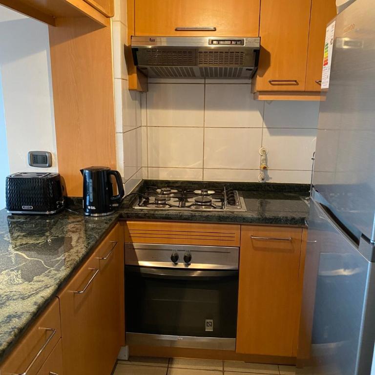 Mejor Apartmento Providencia - One-Bedroom Apartment - 14