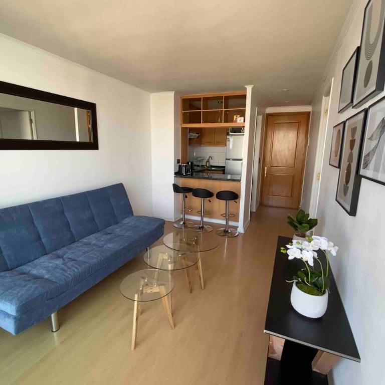 Mejor Apartmento Providencia - One-Bedroom Apartment - 18