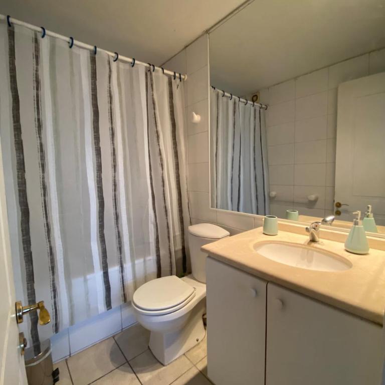 Mejor Apartmento Providencia - One-Bedroom Apartment - 23