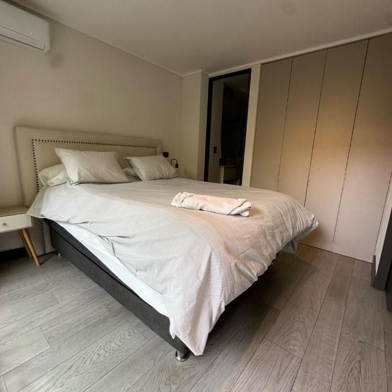 Adorable department con modernas terminaciones - One-Bedroom Apartment - 5