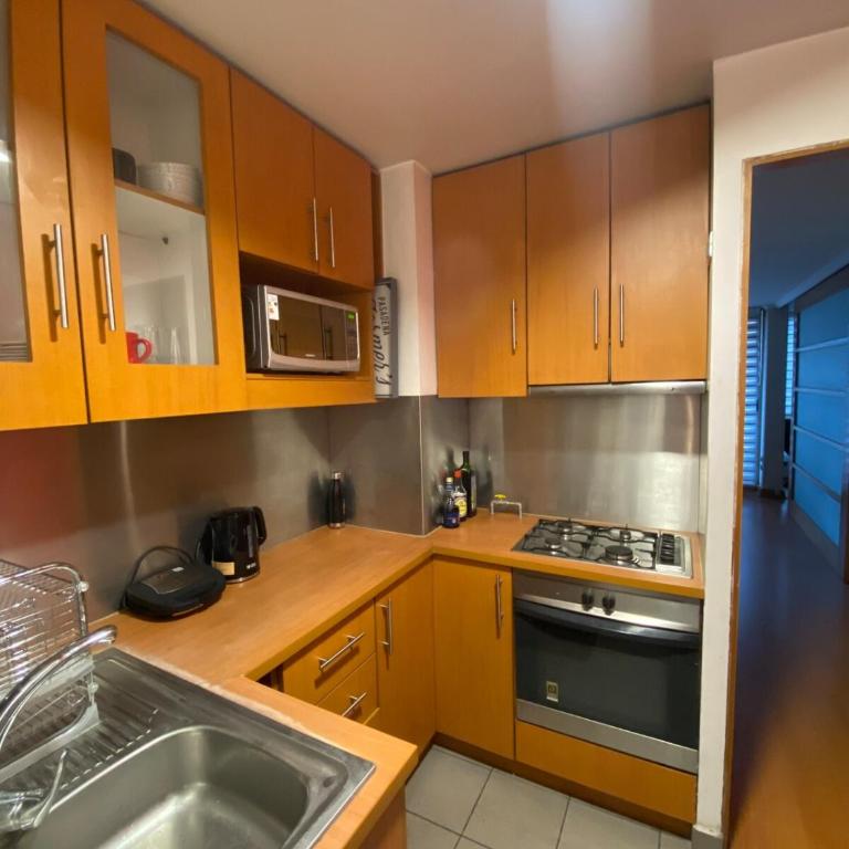 Cómodo apartamento en la mejor ubicación de Providencia - Two-Bedroom Apartment - 20