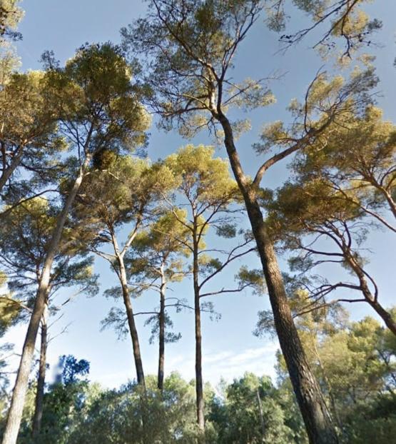 Le Salamandra - Maison 1 Chambre - 7