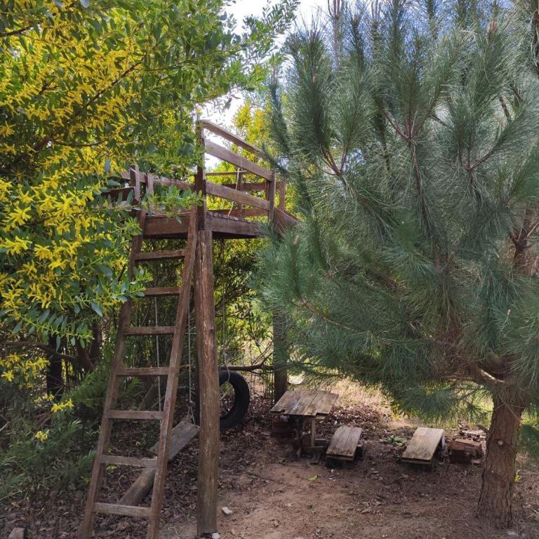 Hermoso Refugio del Bosque - One-Bedroom House - 14