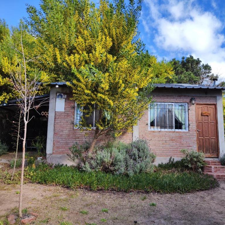 Hermoso Refugio del Bosque - One-Bedroom House - 1