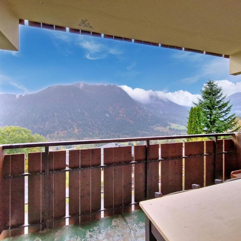 Hameau des 4 Saisons HSE88 MOUNTAIN & SUN 3 Pers - Studio - 10