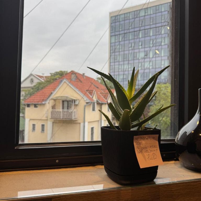 In the heart of Belgrade, in the city center - One-Bedroom Apartment - 8