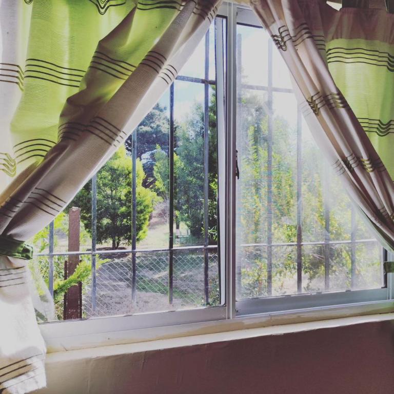 Hermoso Refugio del Bosque - One-Bedroom House - 10