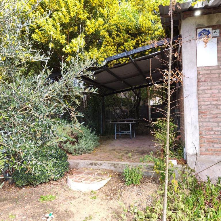 Hermoso Refugio del Bosque - One-Bedroom House - 13