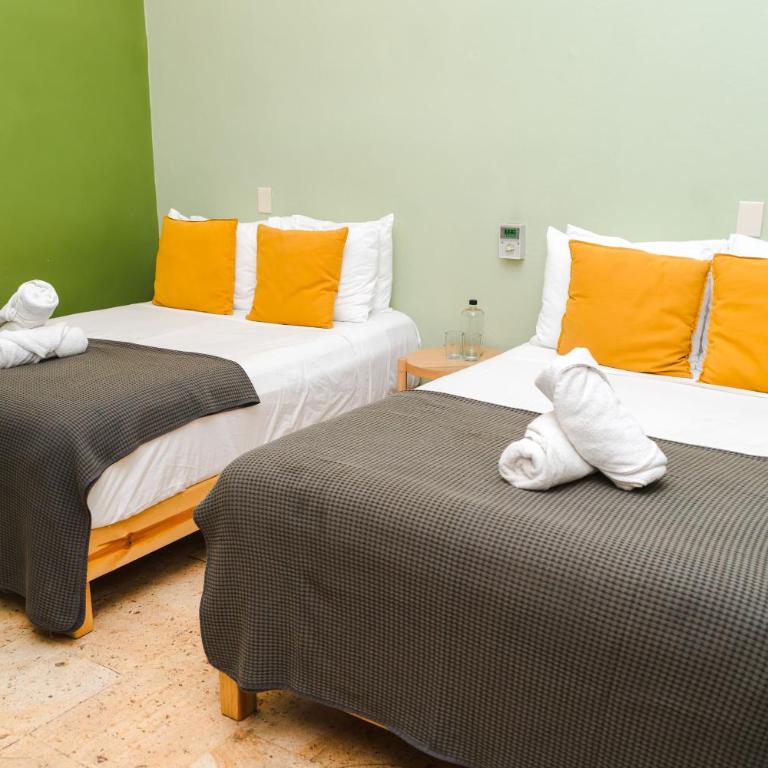 Viajero Oaxaca Hostel - Habitación Cuádruple Superior - 3