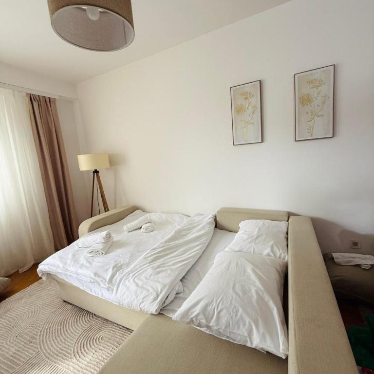 Comfort corner Podgorica - Apartman sa 1 Spavaćom Sobom - 3