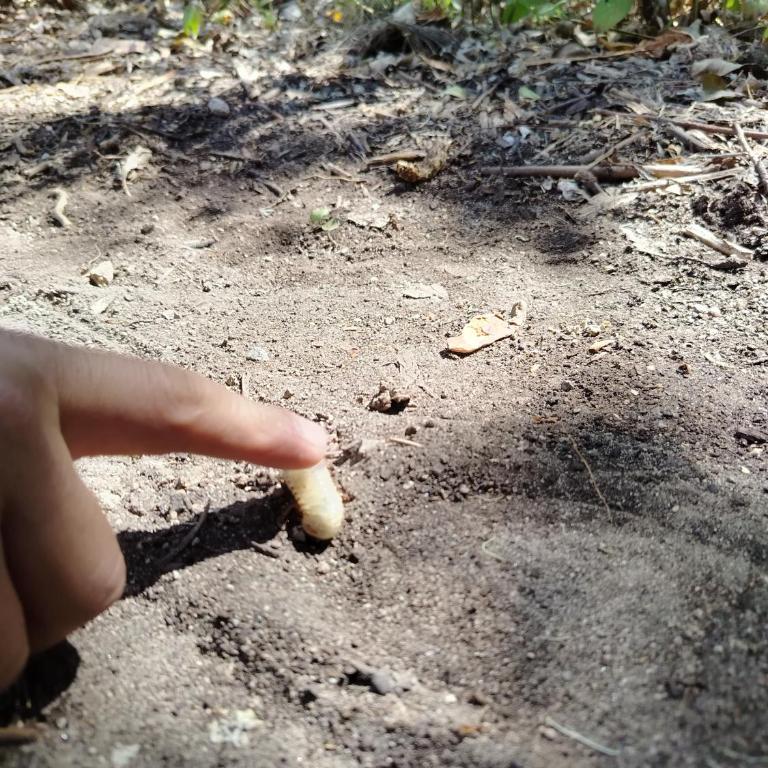 Casa de campo sendero al Ruco Pichincha - Apartamento de 2 dormitorios - 3