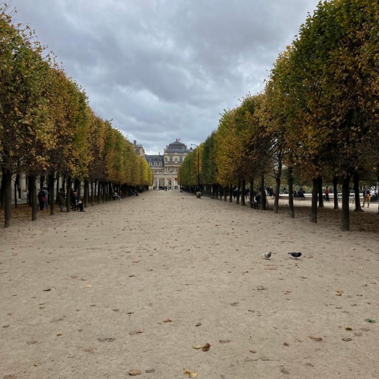 Central Paris Next to Louvre - Appartement 1 Chambre - 27