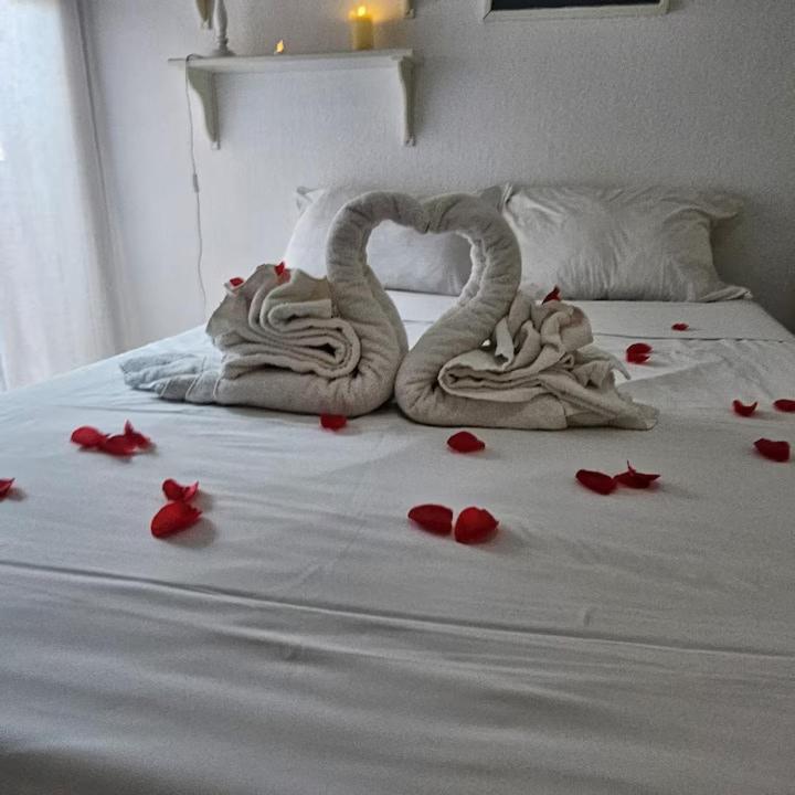 Nice Studio proche mer - Appartement 1 Chambre - 4