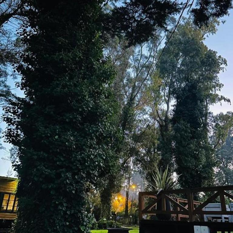 Casa 4, Bosque Peralta Ramos, Mar del Plata con carpa en balneario incluida - Casa de 2 dormitorios - 5