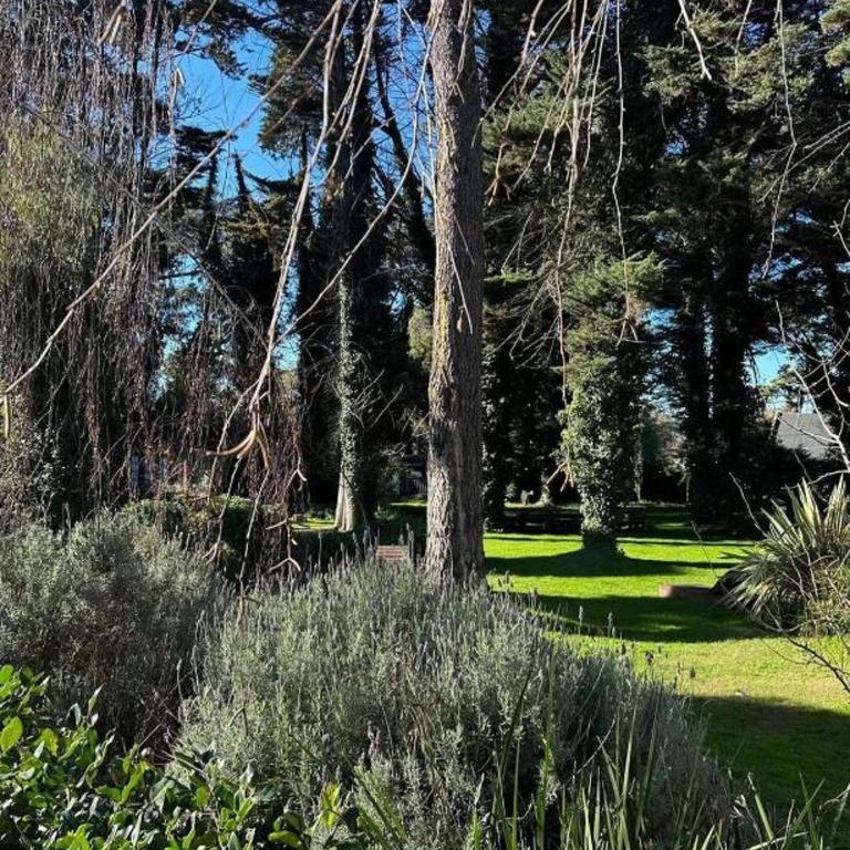 Casa 4, Bosque Peralta Ramos, Mar del Plata con carpa en balneario incluida - Casa de 2 dormitorios - 13