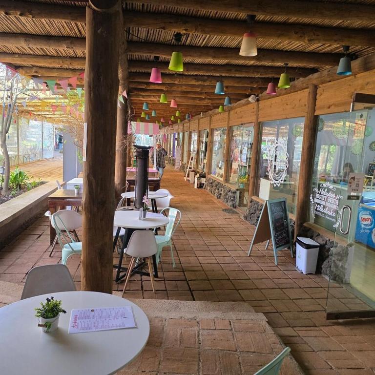 Exclusivo Depto 2 pasajeros 1H-1B-1E - Apartamento de 1 dormitorio - 29