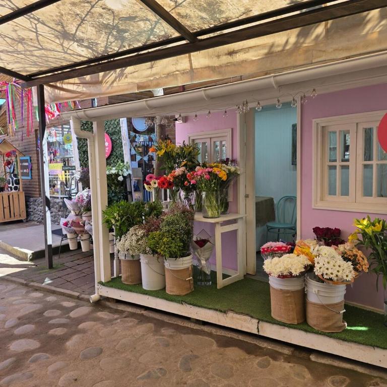 Exclusivo Depto 2 pasajeros 1H-1B-1E - Apartamento de 1 dormitorio - 28