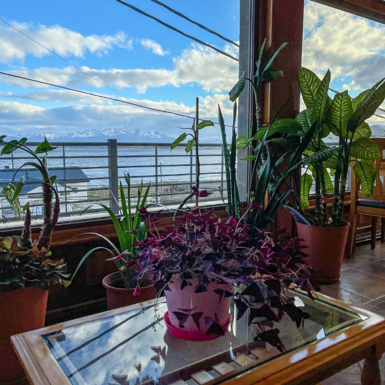 Balcones del Beagle Apart - Apartamento Dúplex - 69