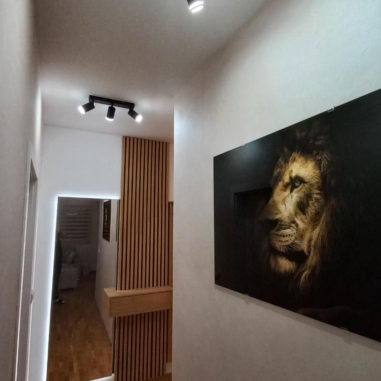 Royal lux apartman Beograd - Apartment - 33