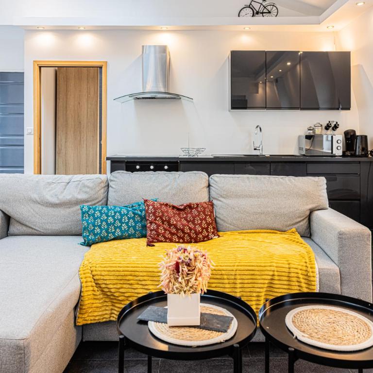 La Parenthèse- Place Martroi- Vue- Clim réversible - One-Bedroom Apartment - 3