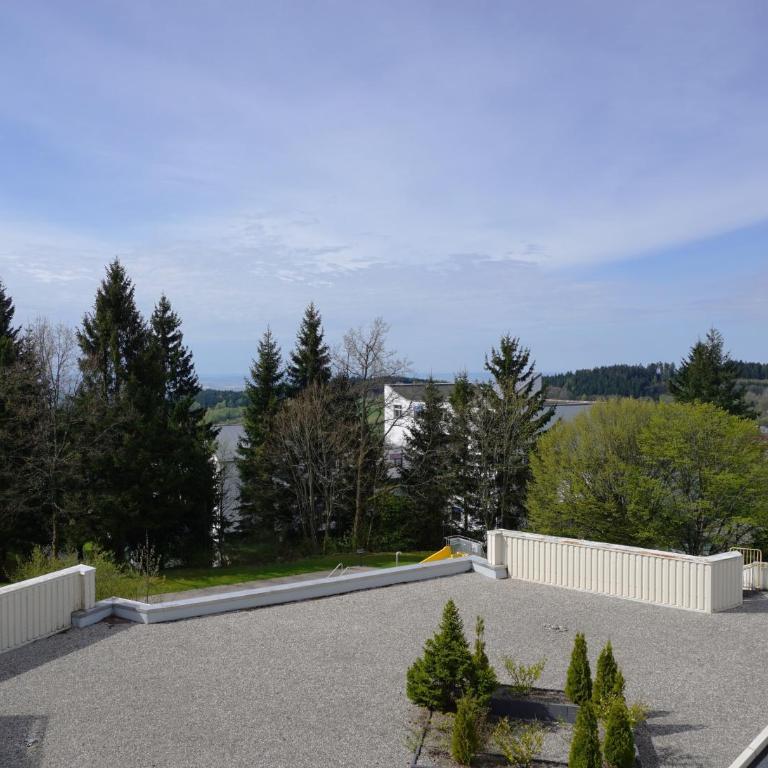 Sylva Apartment - Appartamento - 14