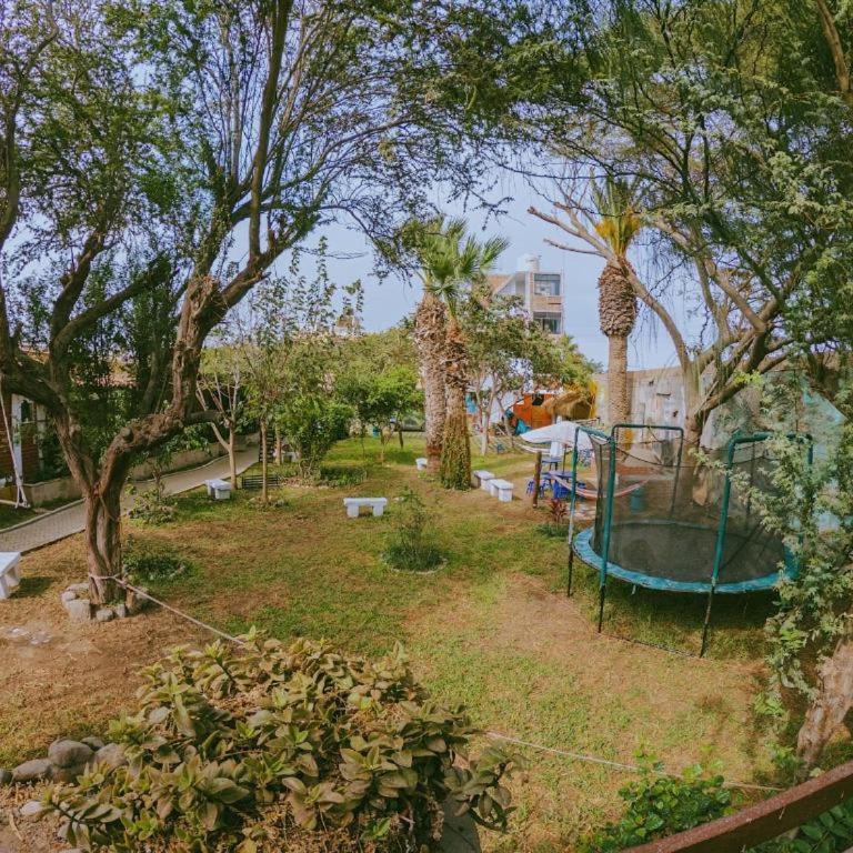 Mini-apartment near the sea with garden and grill - One-Bedroom Apartment - 12