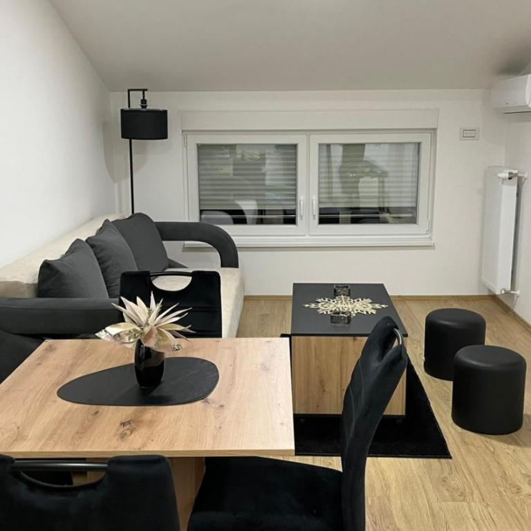 Apartman Katarina Banja Koviljača - One-Bedroom Apartment - 13