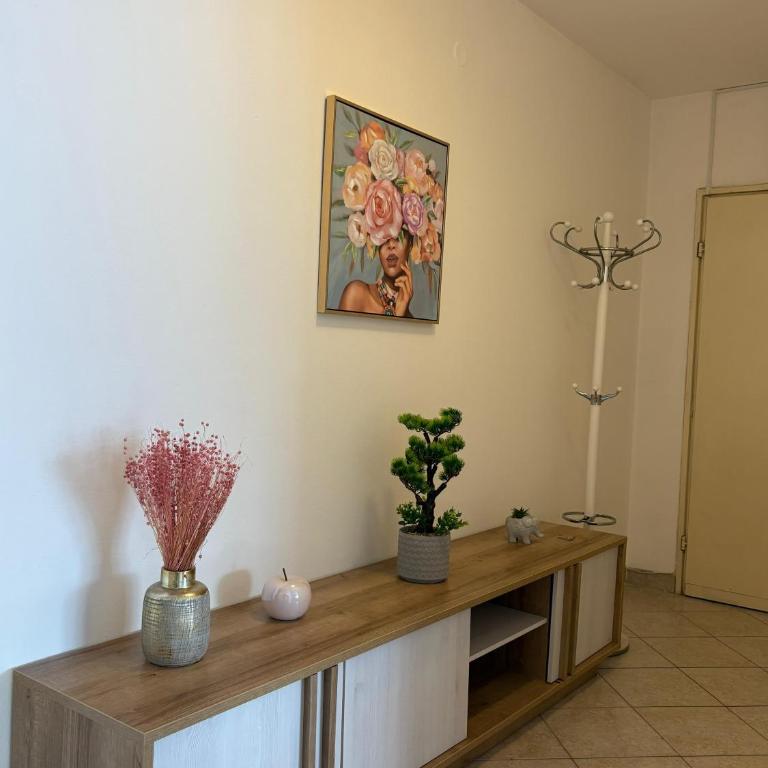 A&N Apartments - Apartman sa 1 Spavaćom Sobom i Pogledom na Park - 10