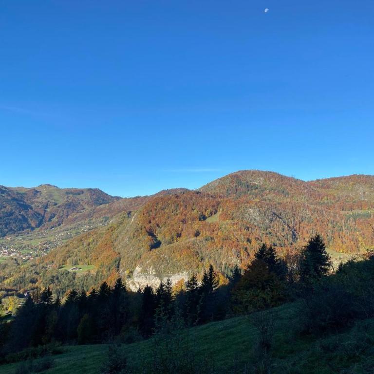 La Tiny de Queuvaz - Haute Savoie - Maison 1 Chambre - 27