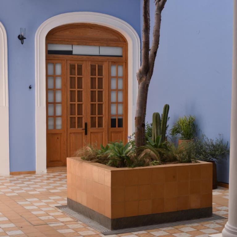 Calle y Número, López Cotilla - Apartamento de 1 dormitorio - 1