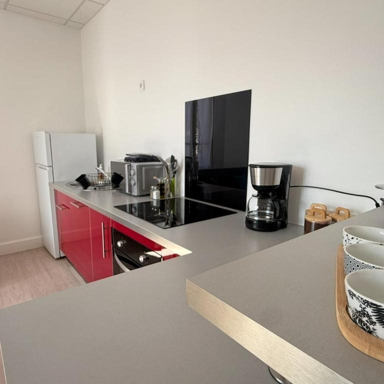 Le Cathedral Hyper Centre Parking Balcon - Appartement 1 Chambre - 24