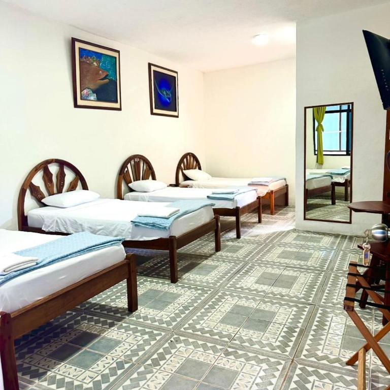 Hostal Gardner - Habitación cuádruple - 5