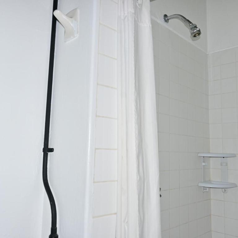 Hostel Mundo Joven Catedral - Bed in 6-Bed Mixed Dormitory Room Exterior Shared Bathroom - Zocalo View - 9