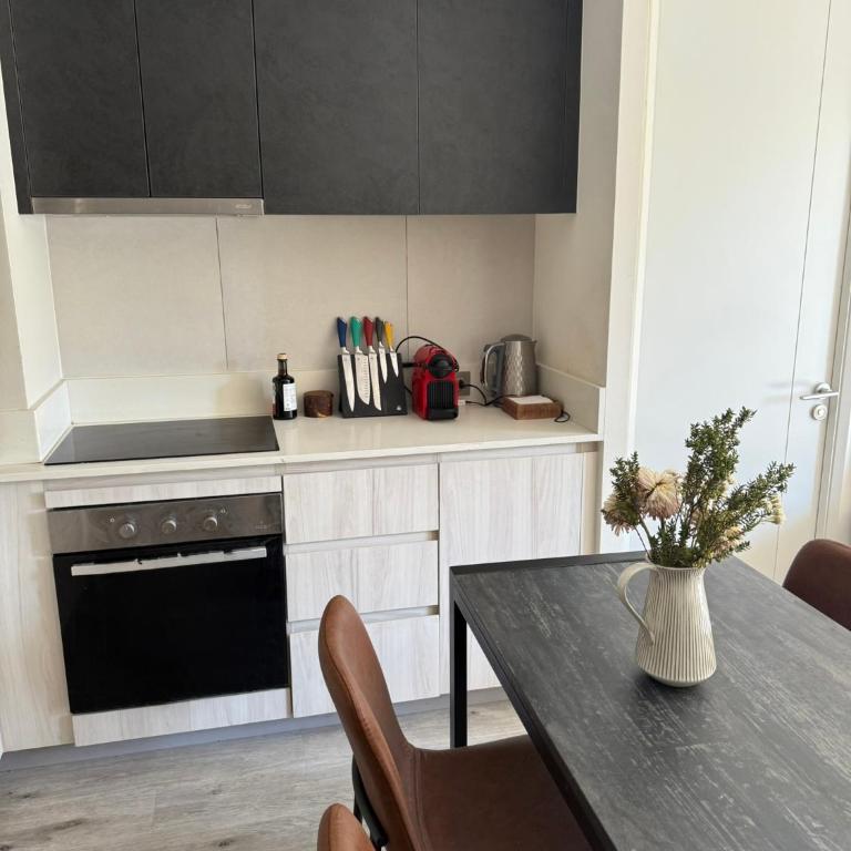 Departamento 2D y 2B Ñuñoa a pasos Mall Plaza Egaña - Two-Bedroom Apartment with Terrace - 5