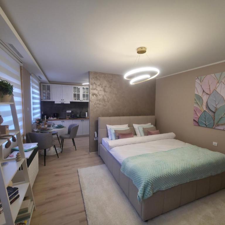 Apartmani Novi Grad - Deluxe Double Studio - 8