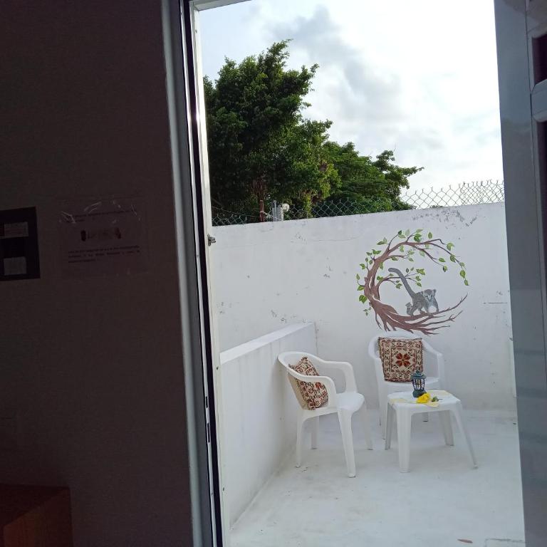 Estudio Coatí Azul en la Isla de Cozumel en el Caribe - Estudio con cama extragrande - 11