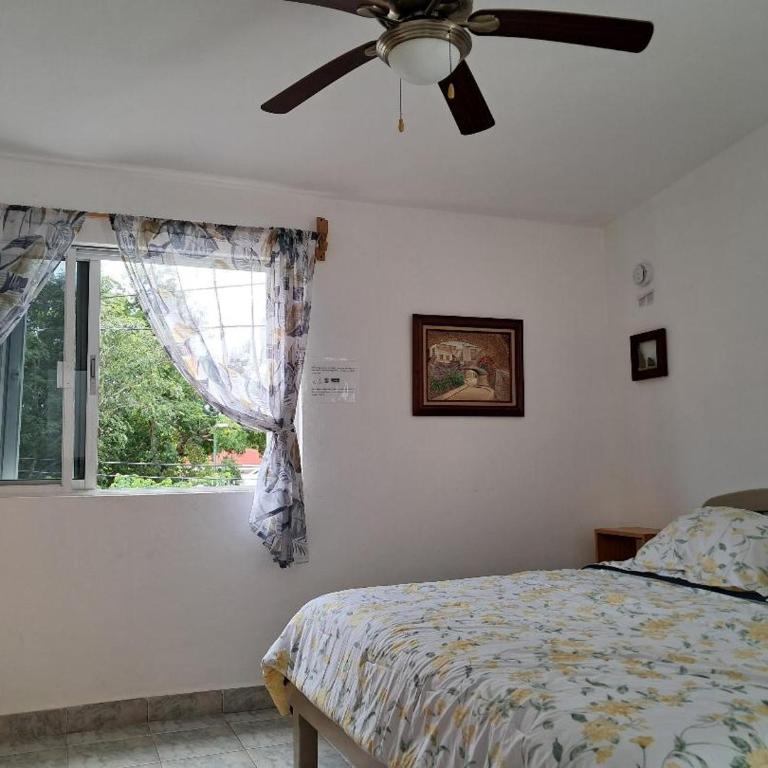 Estudio Coatí Azul en la Isla de Cozumel en el Caribe - Estudio con cama extragrande - 7
