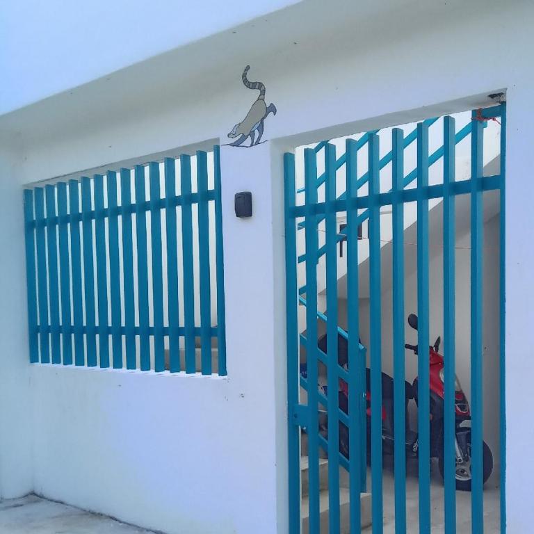 Estudio Coatí Azul en la Isla de Cozumel en el Caribe - Estudio con cama extragrande - 6